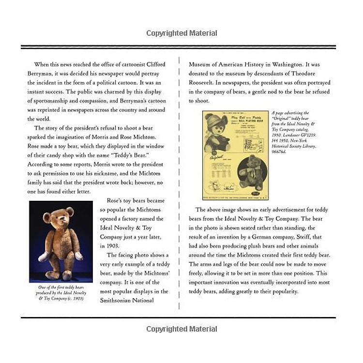 Teddy: The Remarkable Tale of a President, a Cartoonist, a Toymaker and a Bear - Ảnh 6