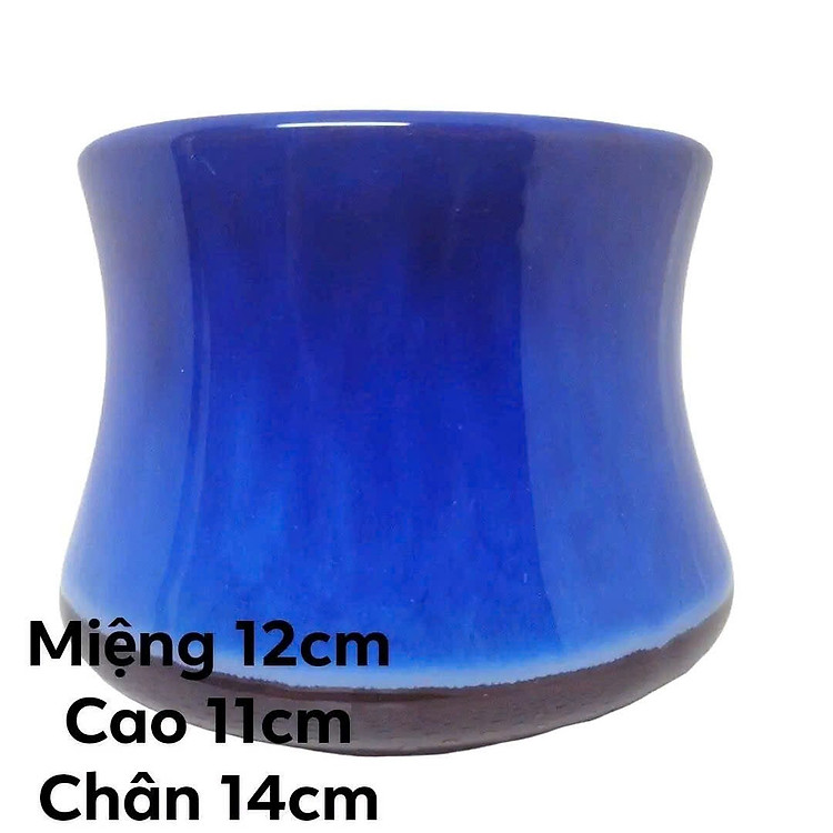 Chậu trồng cây mini chậu sen đá chậu xương rồng chậu trồng cây bonsai phong thủy chậu gốm sứ mini