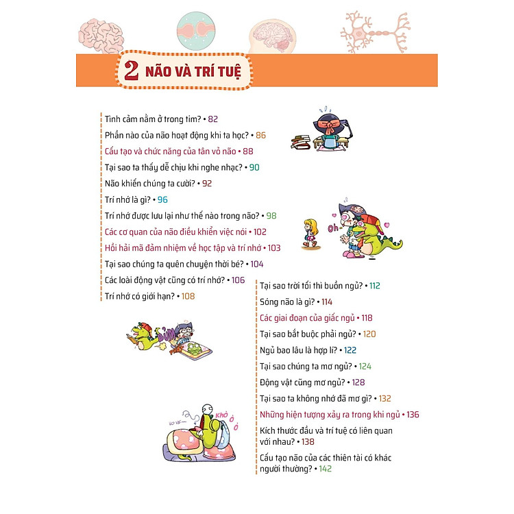 Quiz! Khoa Học Kì Thú - Khám Phá Não Bộ - Ảnh 5