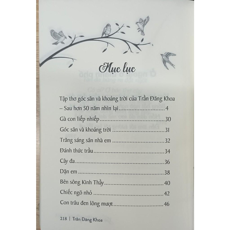 Góc Sân Và Khoảng Trời - Trần Đăng Khoa - Ảnh 2