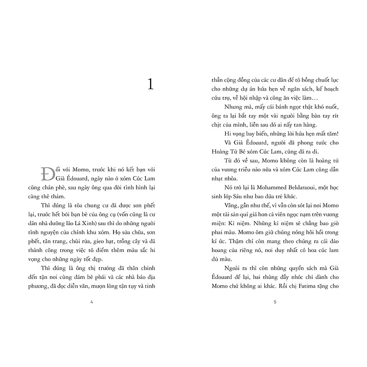 Momo, Cư Dân Xóm Hoa Mào Gà - Ảnh 4