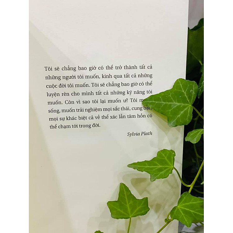 THƯ VIỆN NỬA ĐÊM - Ảnh 4