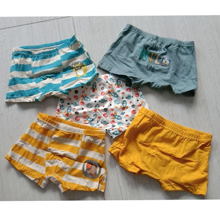 Set 5 quần quần lót đùi cho bé trai (hàng 100% coton ) hình khủng long