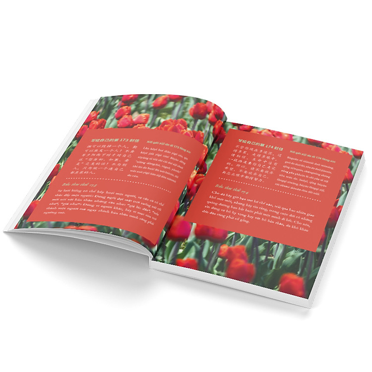 999 Lá Thư Gửi Cho Chính Mình – Những Lá Thư Ấn Tượng Nhất (Phiên Bản Song Ngữ Trung - Việt) - Ảnh 6