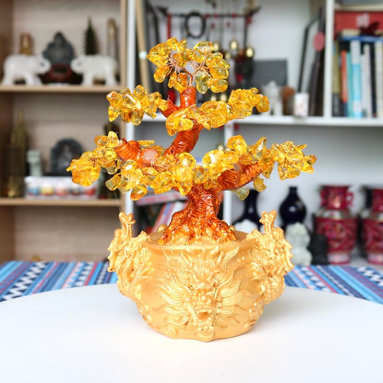 Cây tài lộc - cây đá dáng bonsai chậu hình đầu rồng LỚN màu vàng