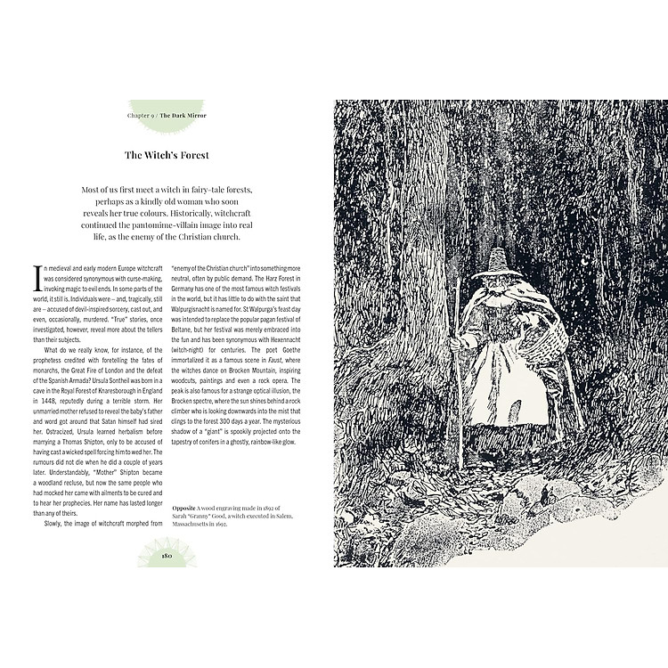 Kew - Witch's Forest - Ảnh 7