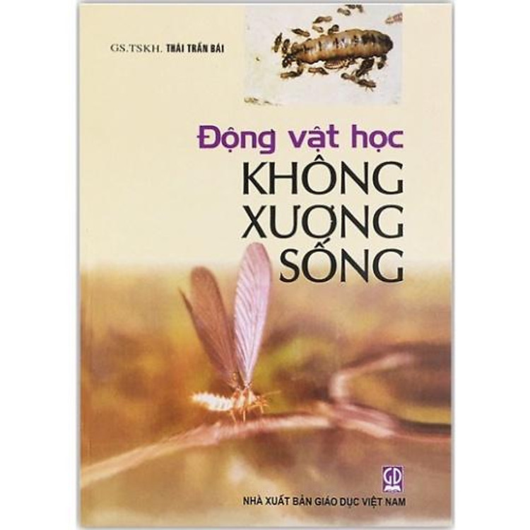 Động vật học Không xương sống