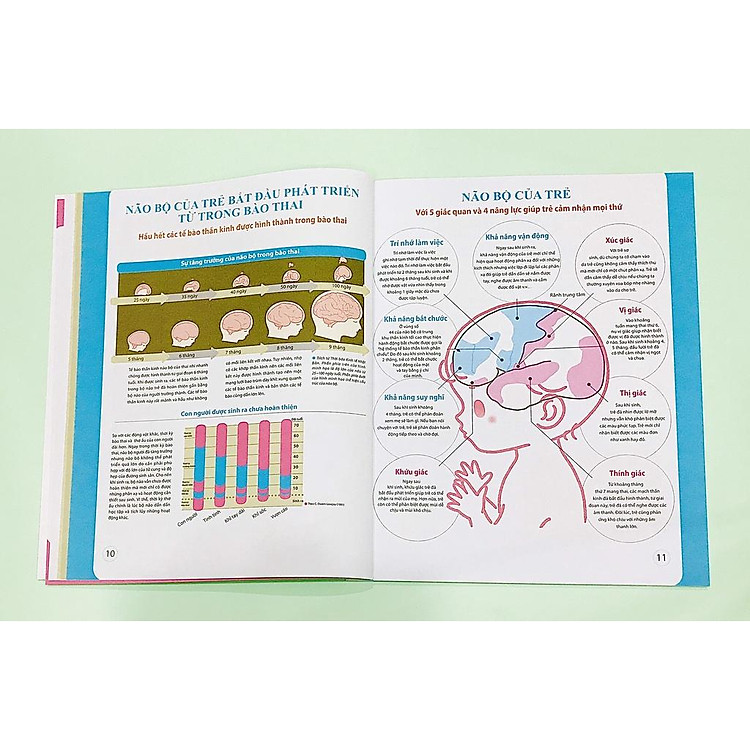 Dạy Con Kiểu Nhật - Giai Đoạn 0 1 2 Tuổi - Ảnh 5