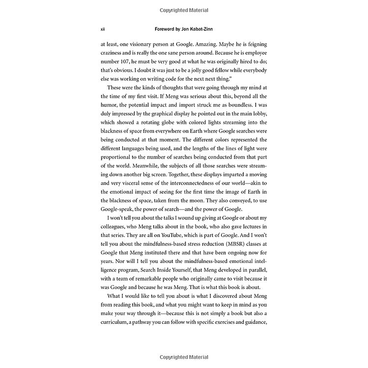 Search Inside Yourself: The Unexpected Path To Achieving Success, Happiness (And World Peace) - Ảnh 2