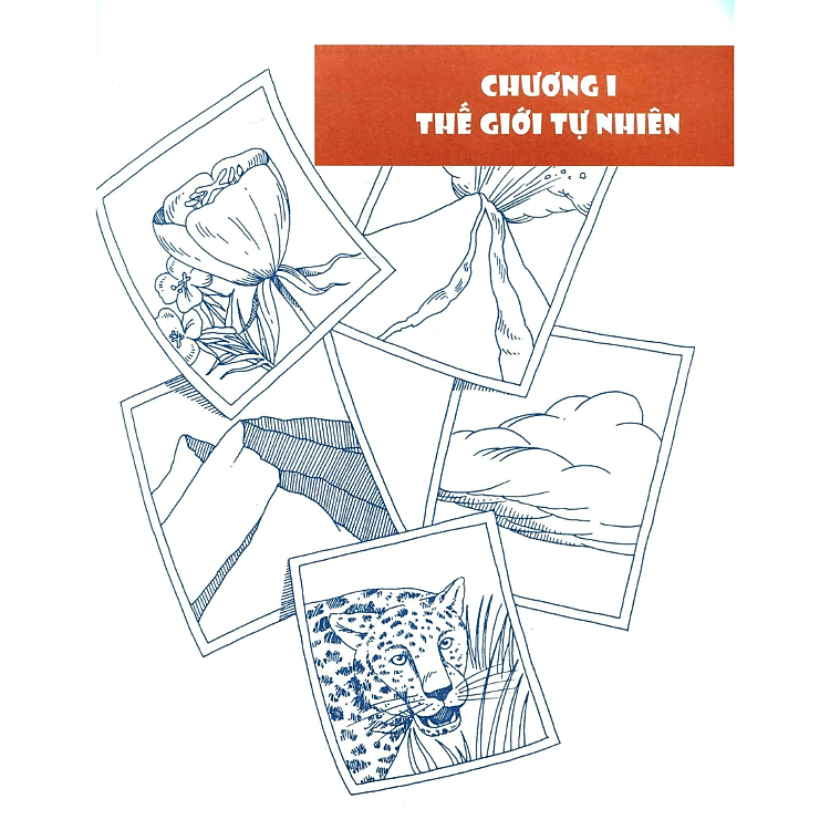 Tớ Tư Duy Như Một Nhà Tự Nhiên Học - Tất Tần Tật Về Tự Nhiên - Ảnh 5