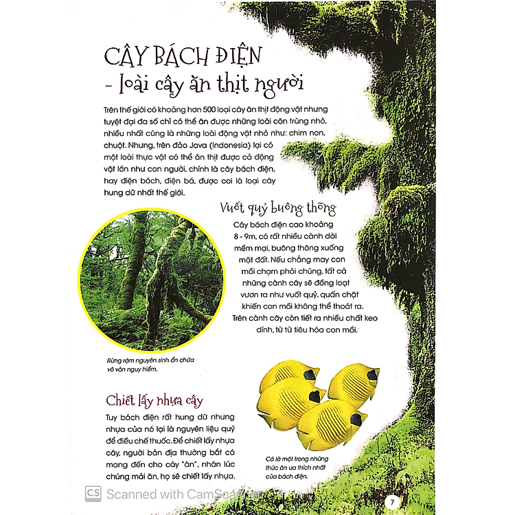 Thực Vật Thần Kỳ - Ảnh 3