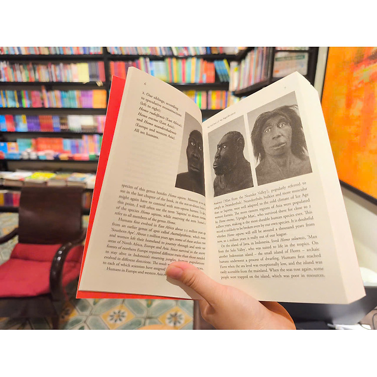 Sapiens: A Brief History of Humankind - Ảnh 6