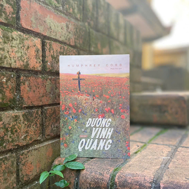 Đường Vinh Quang - Ảnh 3