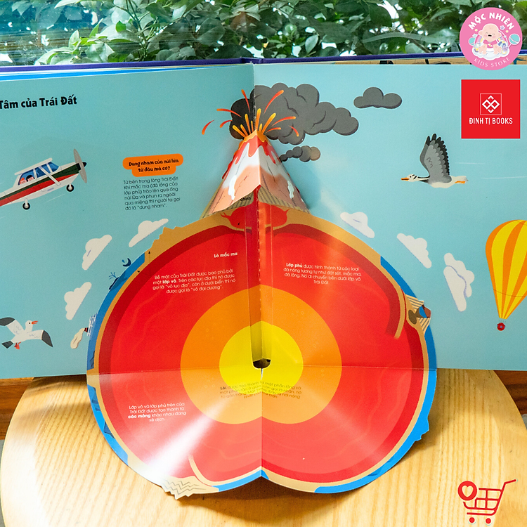 Hình Động Tương Tác – 1001 Câu Hỏi Đáp Về Thế Giới Quanh Ta - Ảnh 2