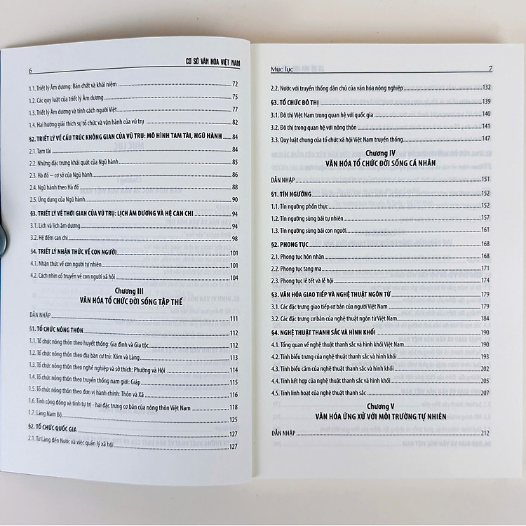 Cơ sở văn hóa Việt Nam - Ảnh 4