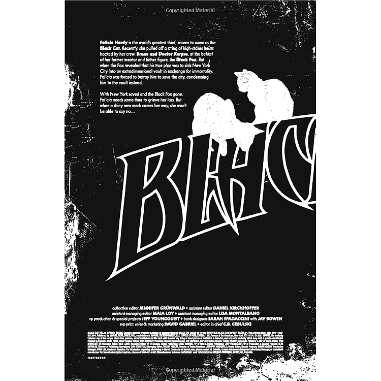 Black Cat Vol. 6: Infinity Score - Ảnh 6