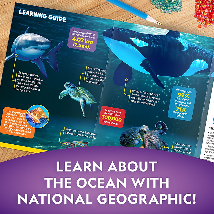 Đồ Chơi Đèn Chiếu Ban Đêm STEAM Chính hãng Giá tốt - Hình ảnh 3