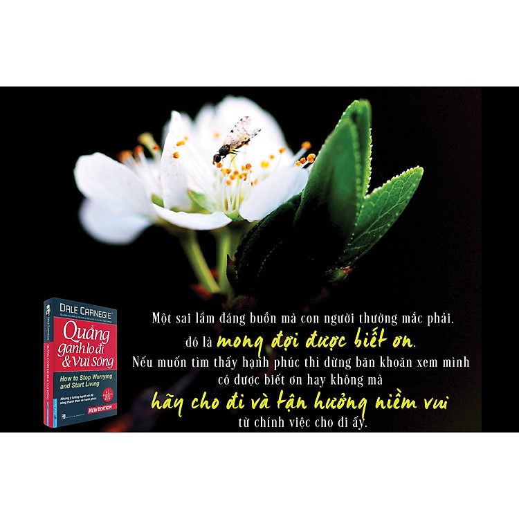 Quẳng Gánh Lo Đi Và Vui Sống - Ảnh 7