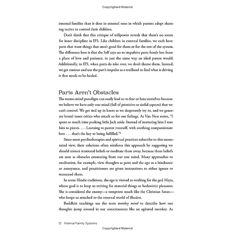 No Bad Parts: Healing Trauma And Restoring Wholeness With The Internal Family Systems Model - Ảnh 6