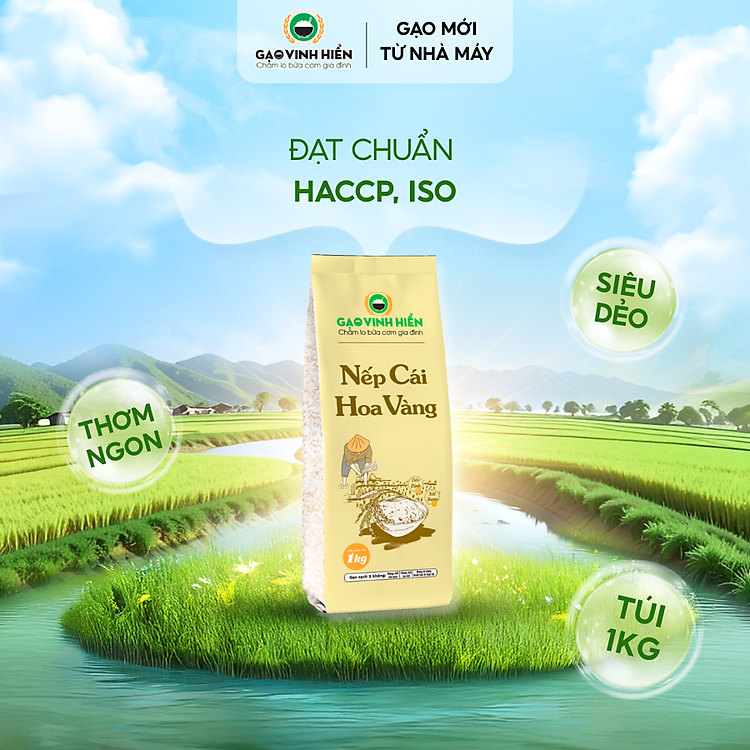 Nếp Cái Hoa Vàng Vinh Hiển Túi 1KG - Dẻo nhiều, thơm ngon