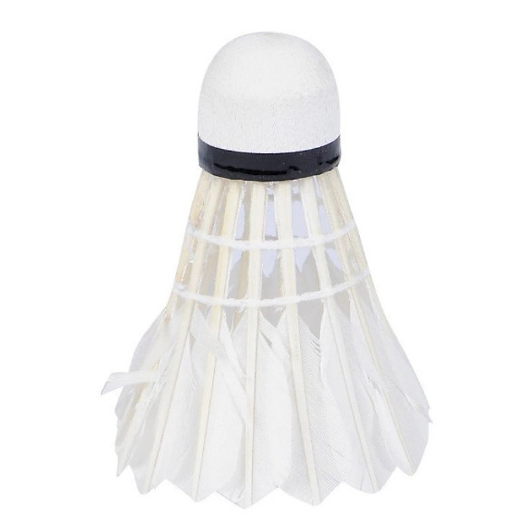 Hộp Cầu Lông Cao Cấp Loại Đẹp - Trắng ( tặng 1 khăn lau đa năng