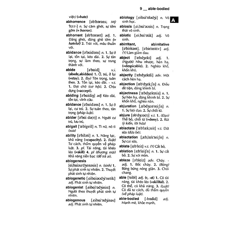 Từ Điển Anh - Việt 340.000 Mục Từ Và Định Nghĩa (Tái Bản 2022) - Ảnh 4