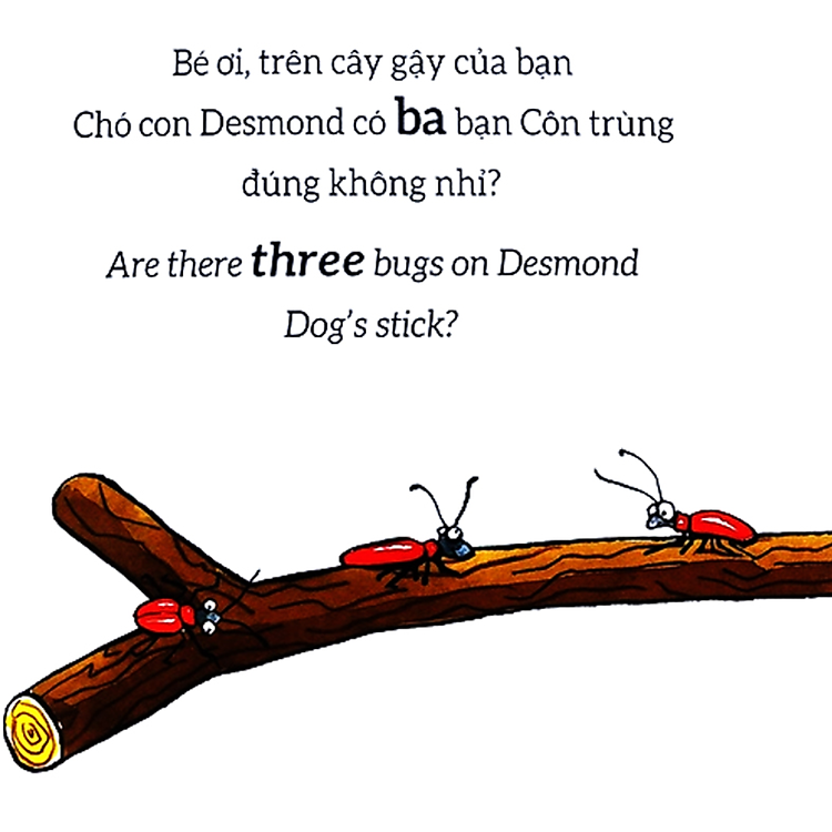 Tương Tác Lật Mở - Số Đếm - Counting - Ảnh 2