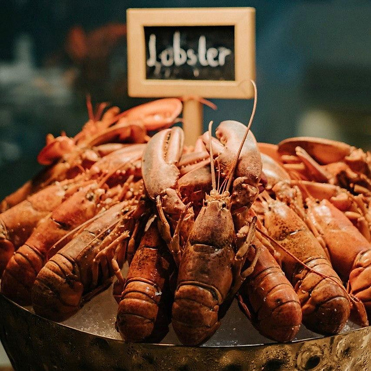 La Vela Saigon Hotel 5* - Buffet tối siêu hải sản Tôm Hùm, Bào Ngư, Soup Vi Cá, Sò Điệp Nhật, Gan Ngỗng...- Miễn phí gói rượu vang, bia, nước ngọt, nước suối.