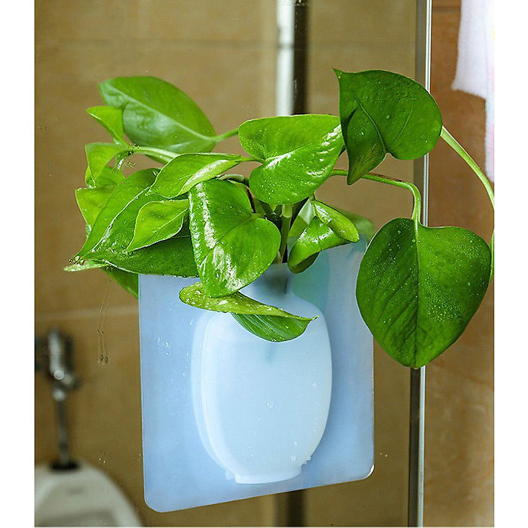 Lọ hoa dán tường SILICON siêu tiện ích ( màu ngẫu nhiên )