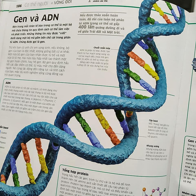 Tri thức về vạn vật - Ảnh 3