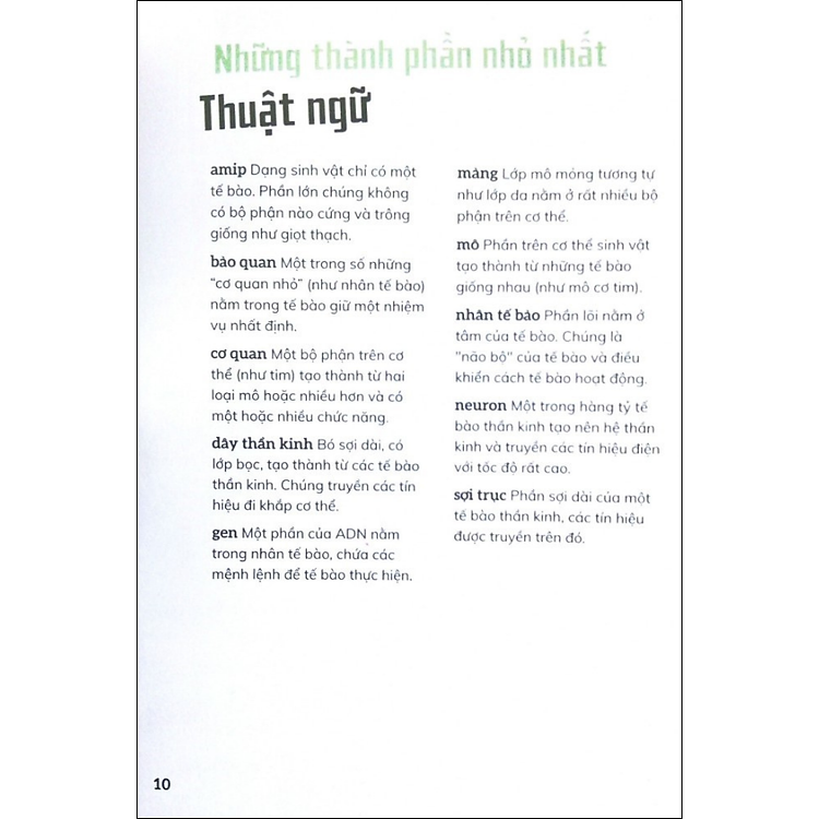 Cơ Thể Người - Trong 30 Giây - Ảnh 3