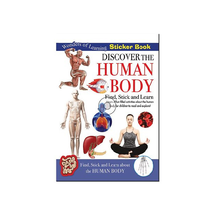 Wol Model Set - Human Body - Ảnh 2