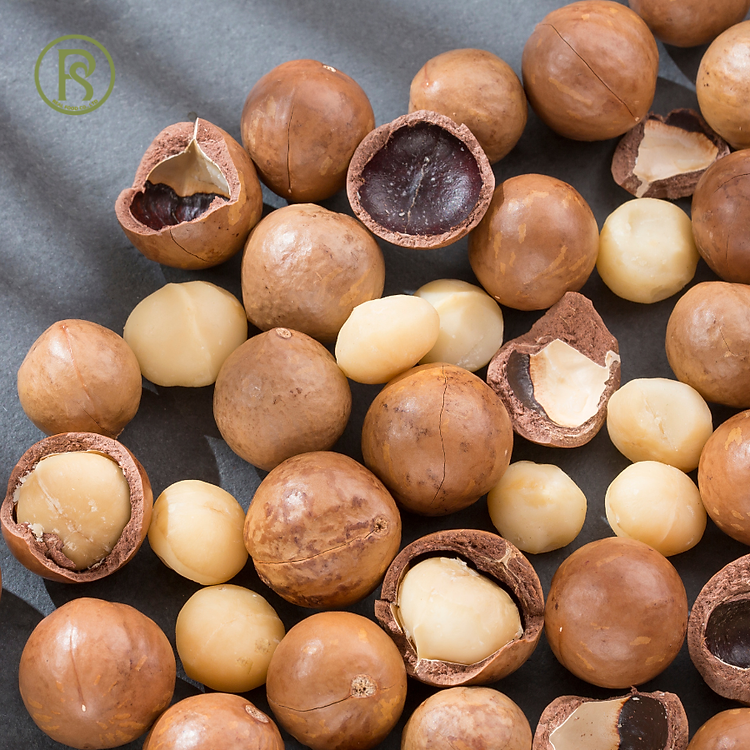 Hạt Macca Dinh Dưỡng 500G cho Mẹ Chính hãng Tiết kiệm - Hình ảnh 2