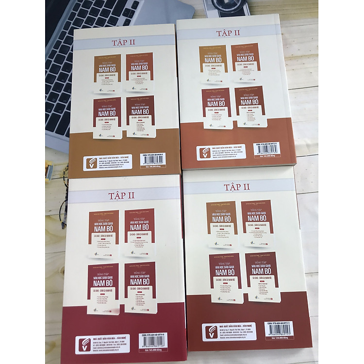 Tổng Tập Văn Học Dân Gian Nam Bộ - Ca Dao, Dân Ca Nam Bộ - Ảnh 2