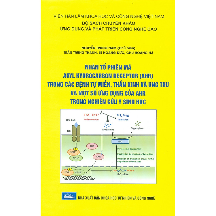 Nhân Tố Phiên Mã Aryl Hydrocarbon Receptor (Ahr) Trong Các Bệnh Tự Miễn, Thần Kinh Và Ung Thư
