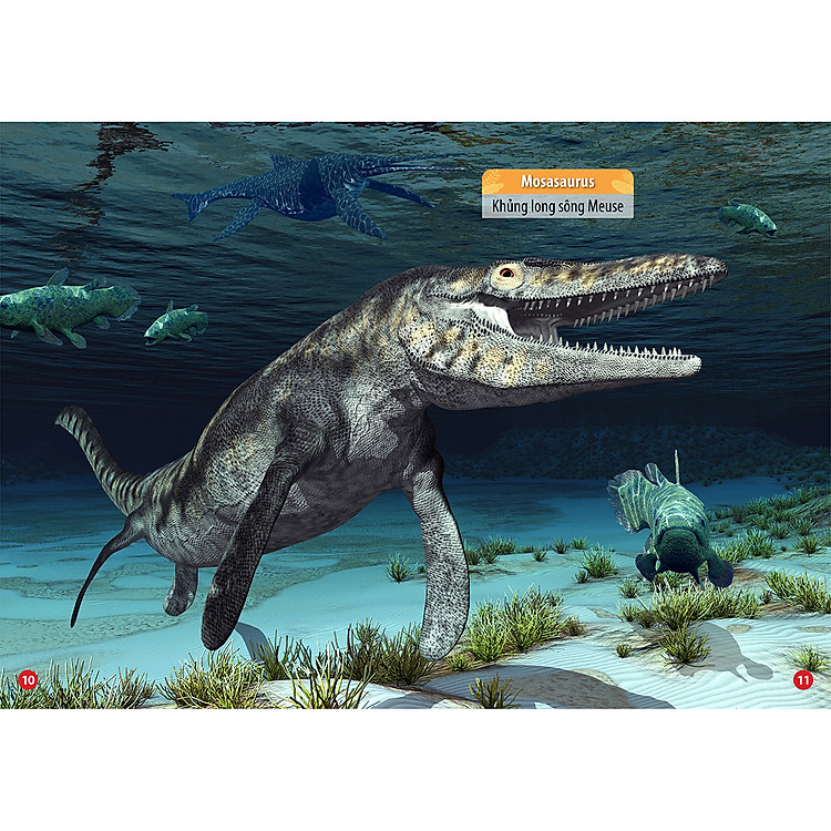 Bộ sách Thế Giới Khủng Long - Ảnh 7