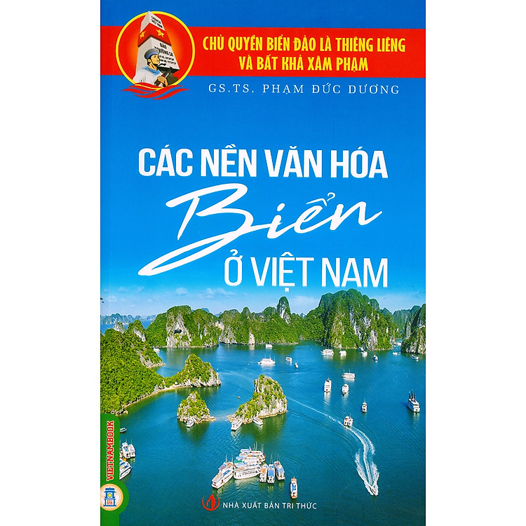 Các Nền Văn Hóa Biển Ở Việt Nam
