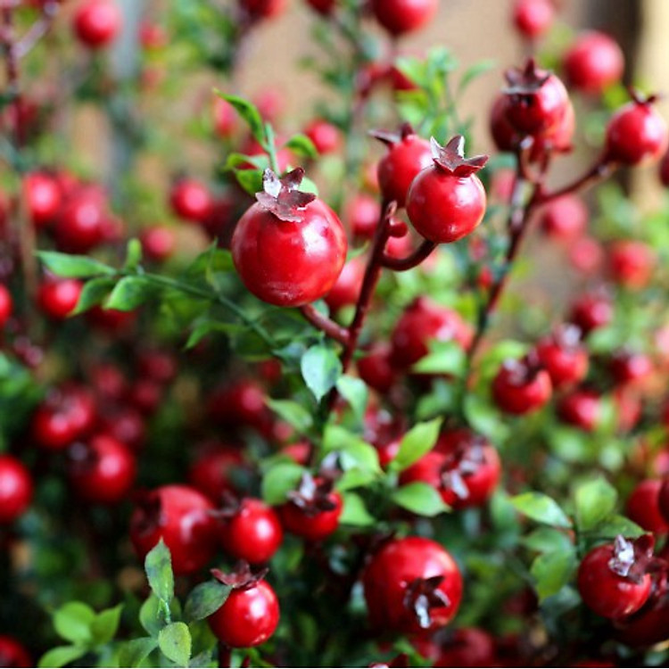 CÀNH LỰU NHỎ PHÚ QUÀY - VẬT LIỆU TRANG TRÍ DECOR TẾT TẠO KHÔNG GIAN MỚI MẺ - MANG NHIỀU TÀI LỘC