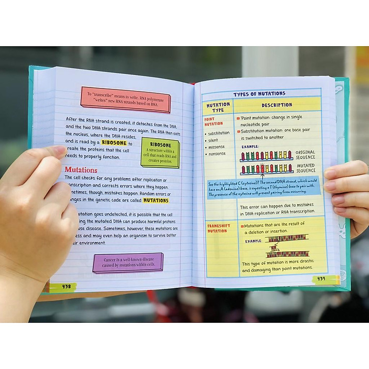 Big Fat Notebooks, Everything You Need to Ace - Ảnh 7