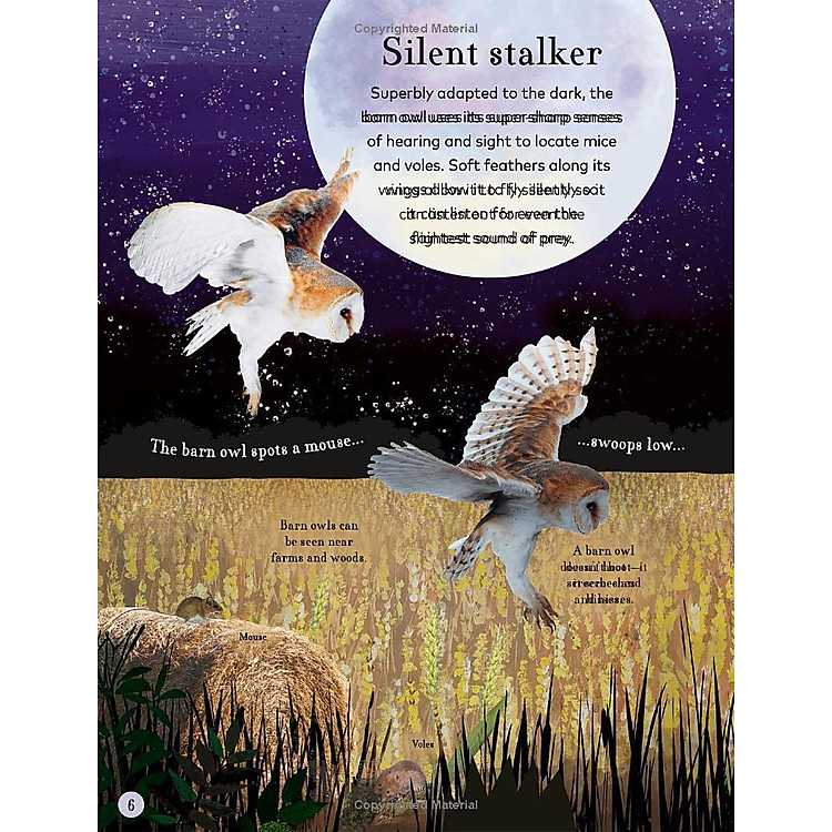 Through The Night Sky: A Collection Of Amazing Adventures Under The Stars - Ảnh 5