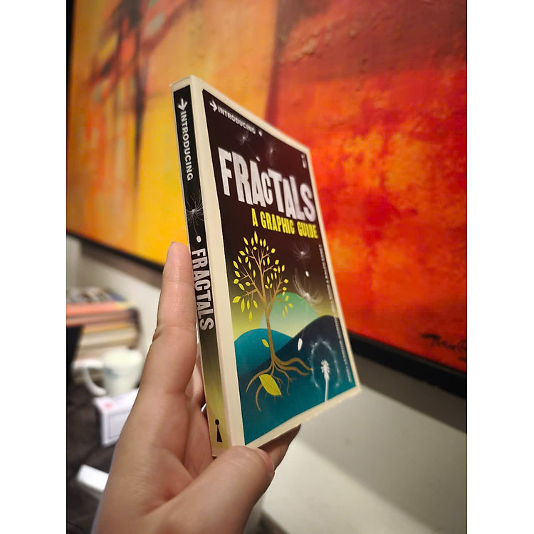 Introducing Fractals: A Graphic Guide - Ảnh 4