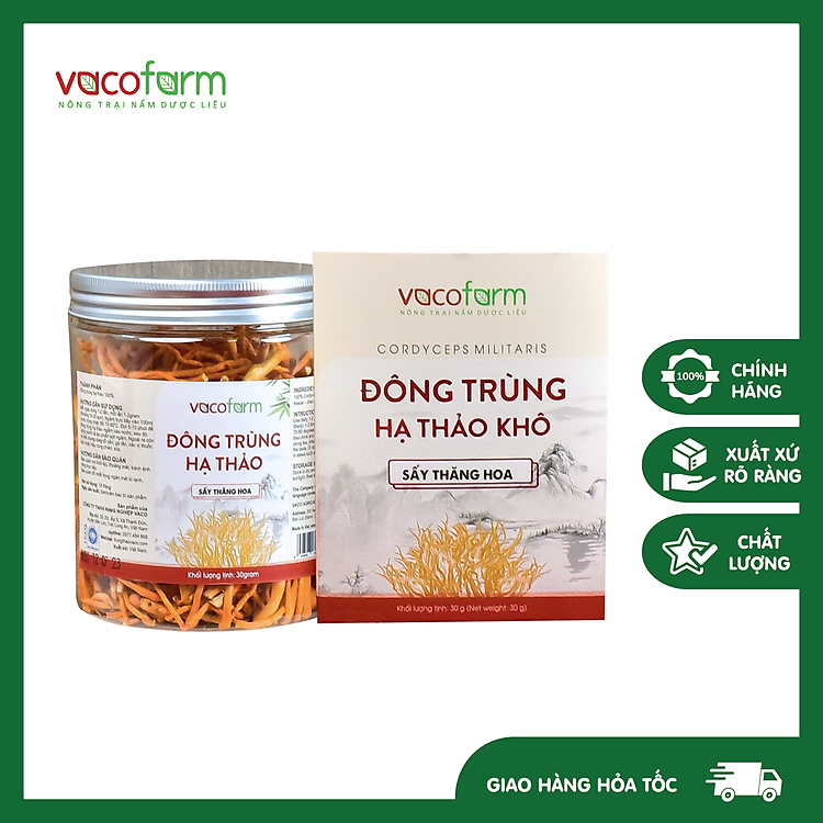 Đông trùng hạ thảo sấy thăng hoa hộp (30gr) lọ nhựa tiện lợi