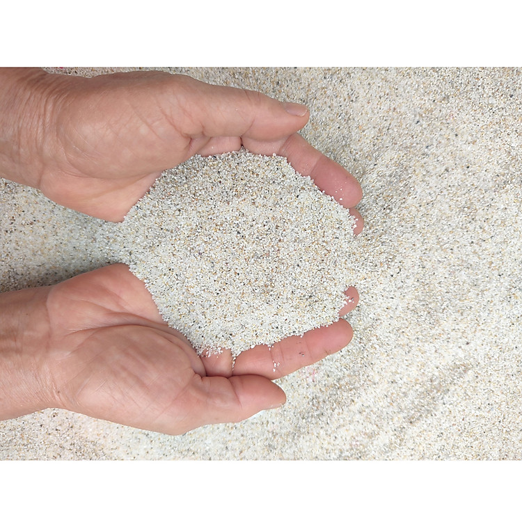 Cát Nắng Vàng 3.8KG trải nền bể cá thủy sinh, hạt to làm thác suối cát, vật liệu lọc nước, trang trí hồ cá, tiểu cảnh siêu đẹp, khử asen, tạp chất có trong nước sinh hoạt hàng ngày