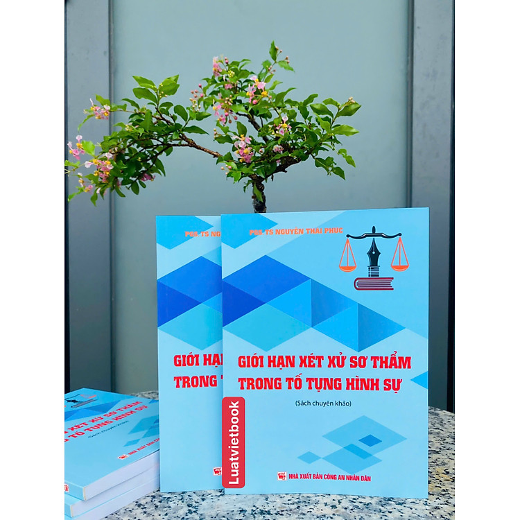 Giới Hạn Xét Xử Sơ Thẩm Trong Tố Tụng Hình Sự - Ảnh 2