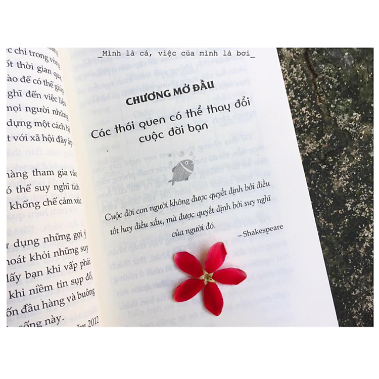 Mặc Kệ Thiên Hạ, Sống Như Người Nhật & Mình Là Cá, Việc Của Mình Là Bơi - Ảnh 3