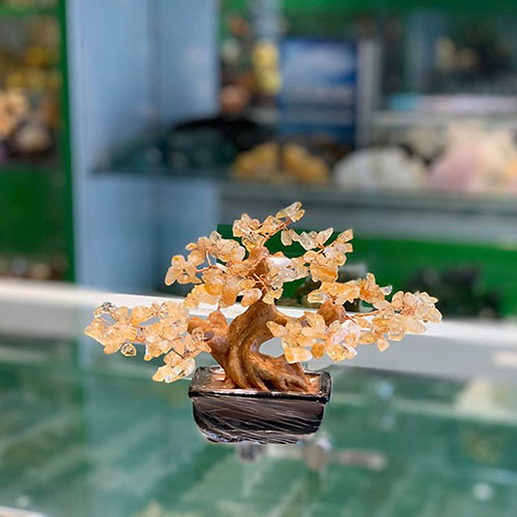 Cây thạch anh vàng nhỏ dáng truyền thống (cây chiêu tài) FKC108