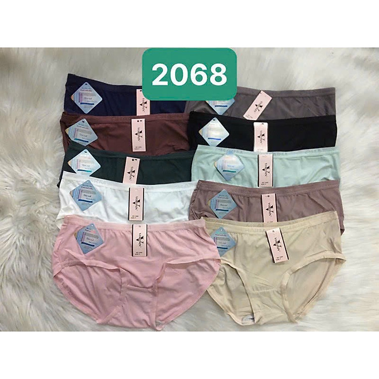 Combo 5 Quần Lót Nữ Thông Hơi Trơn Voronin 2068 – Co Giãn 4 Chiều, Mềm Mịn, Tàng Hình