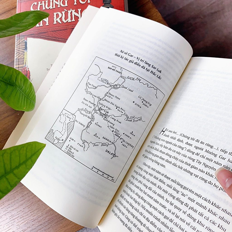 Chúng Tôi Ăn Rừng - Ảnh 4