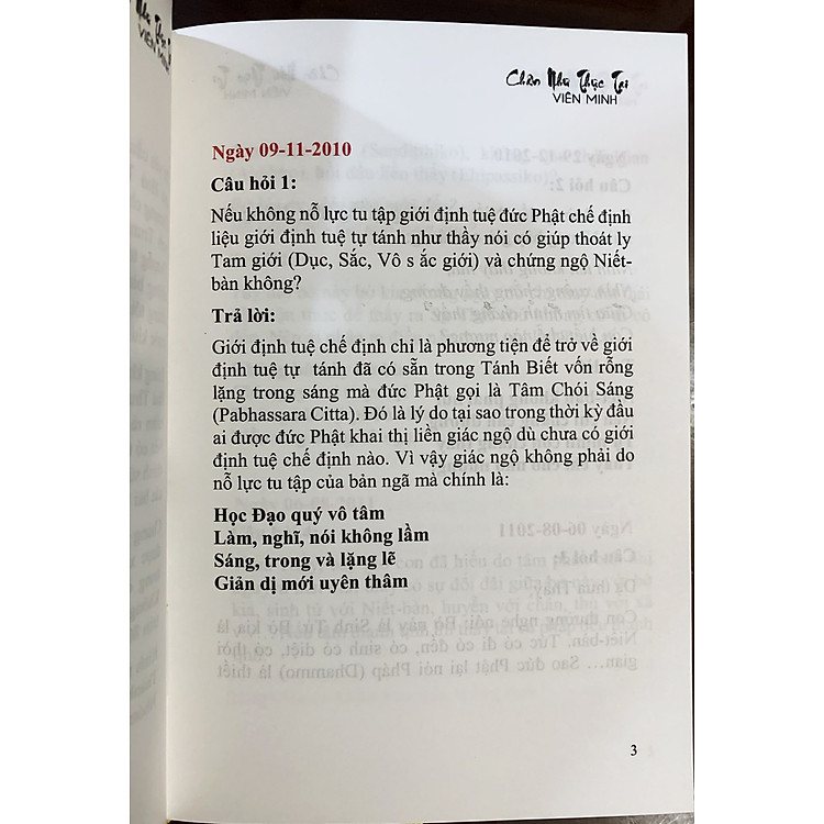 Chân Như Thực Tại - Ảnh 3