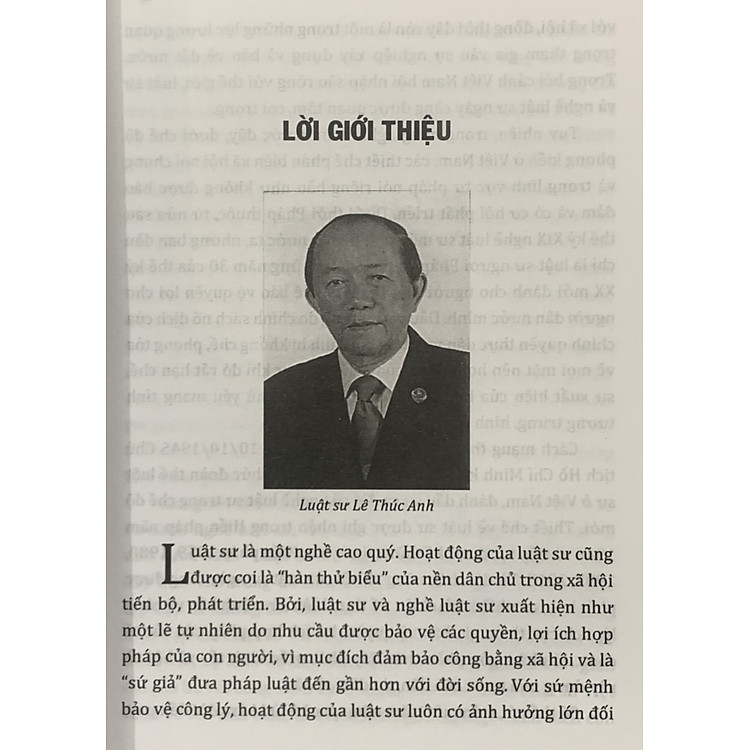 Luật Sư và Nghề Luật Sư Ở Việt Nam - Ảnh 3